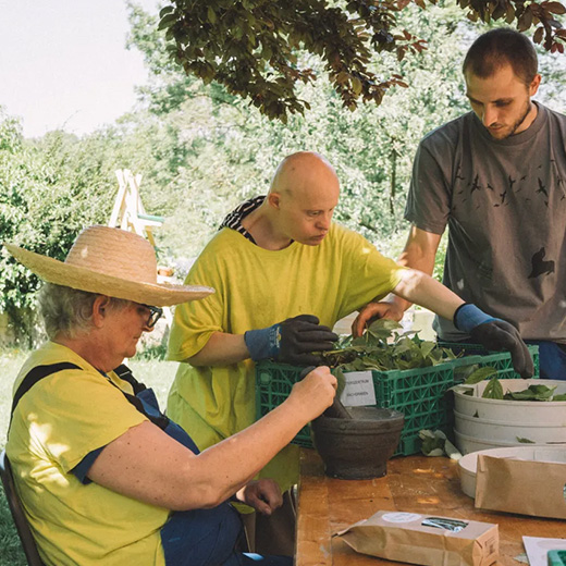 footer-section-image